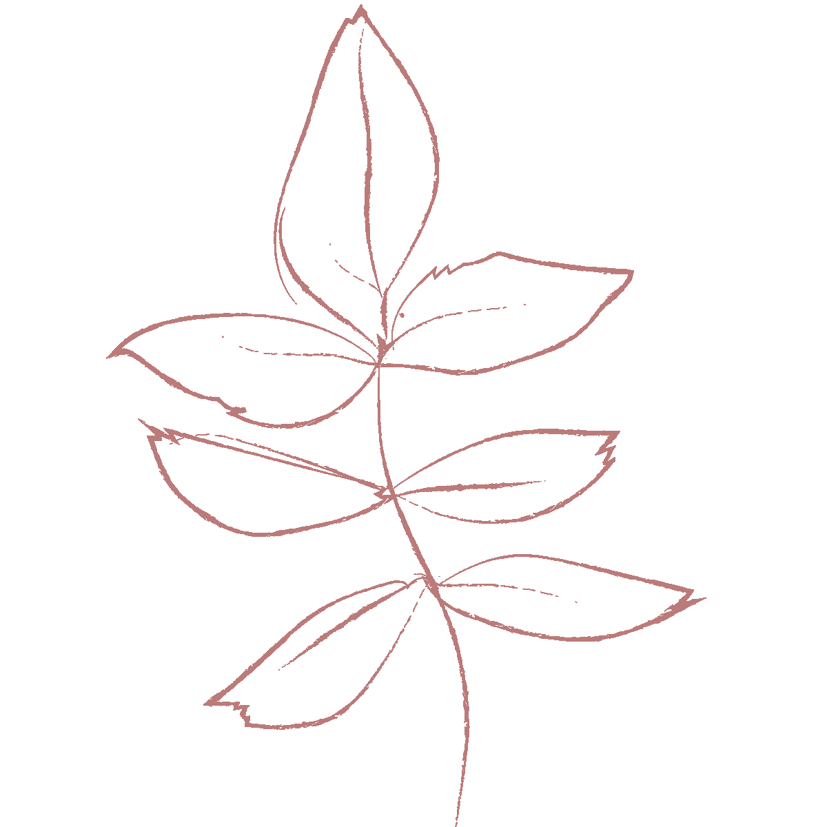 Flower-3